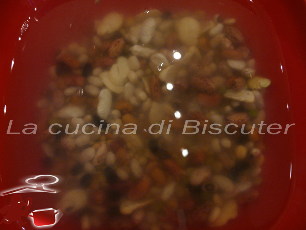 Zuppa di legumi 2